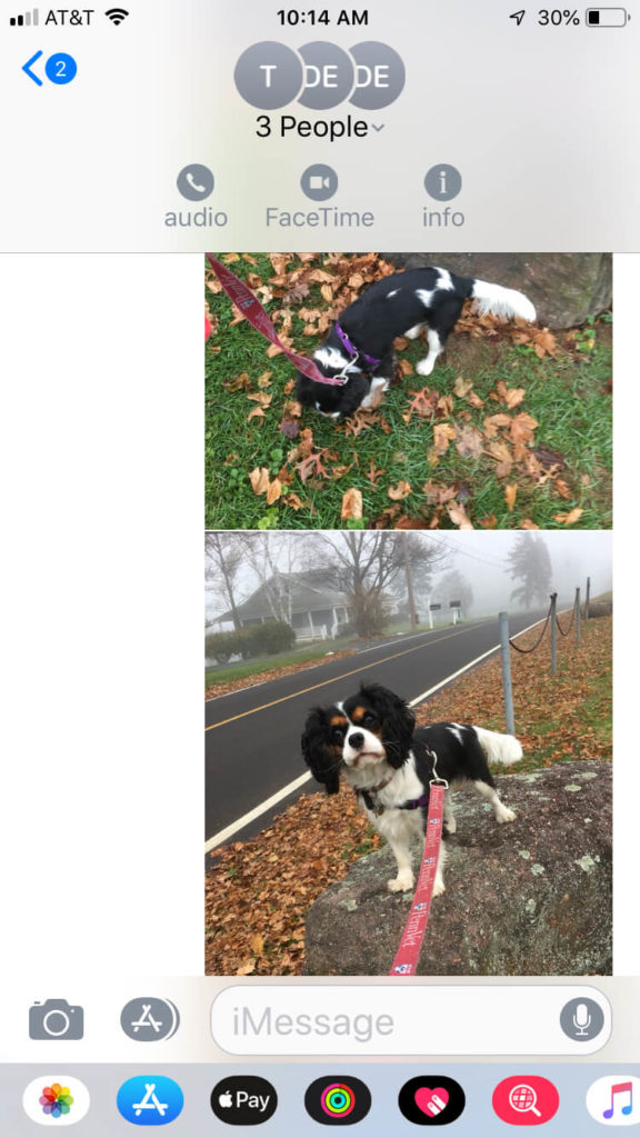 iPhone Tip – Save Multiple Photos from Messages-1